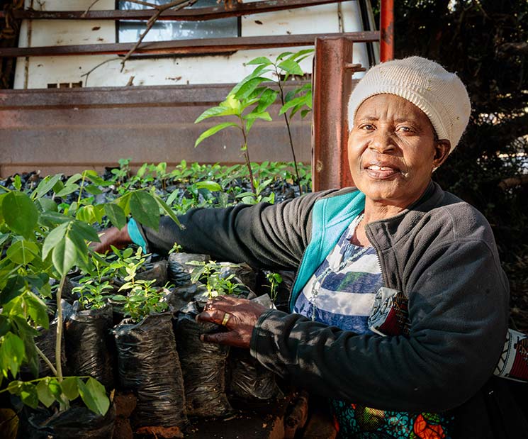 Woman shows off seedling trees.