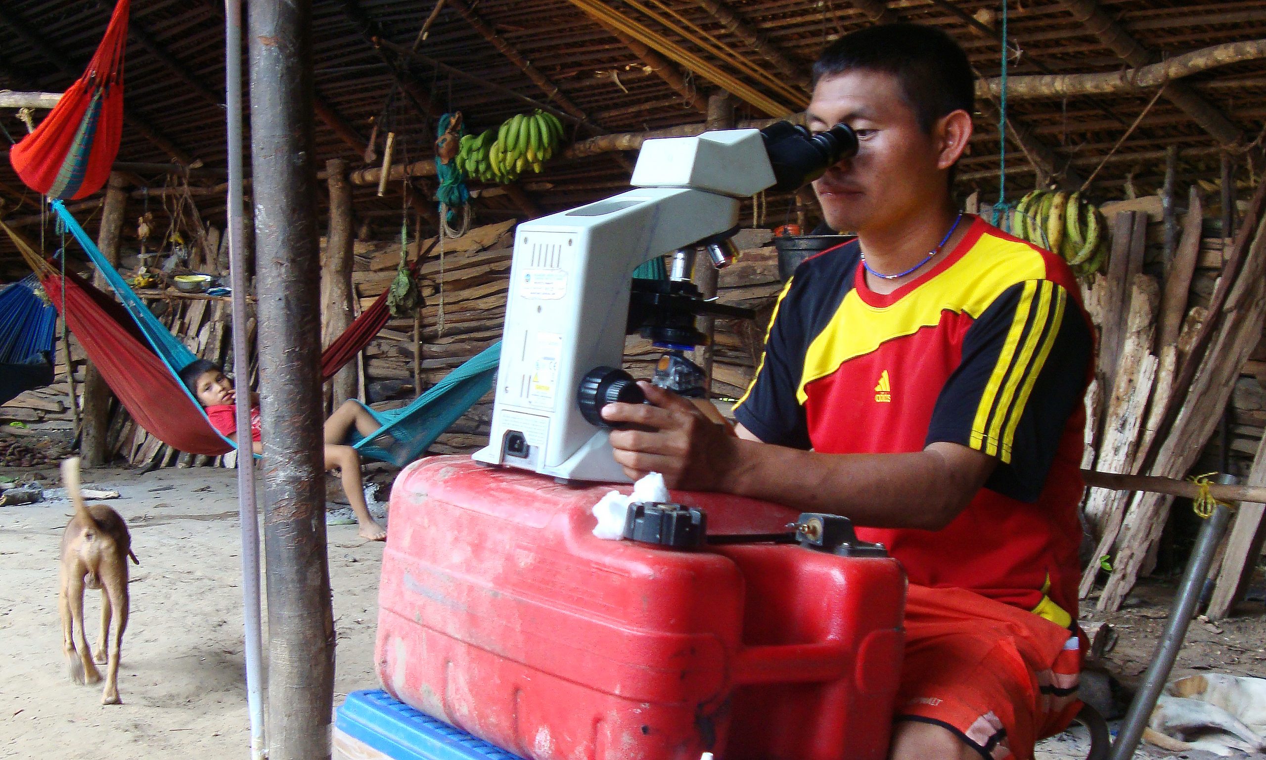 Venezuelan man looks through a microscope.