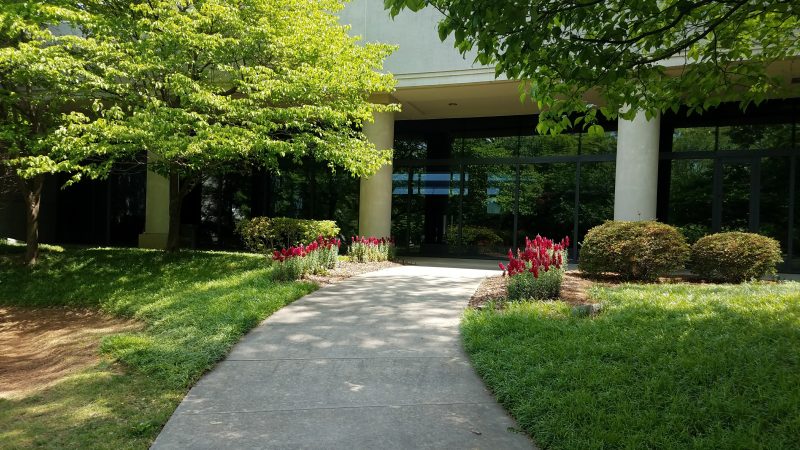 Carter Center grounds